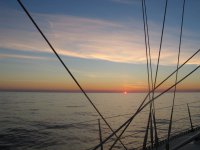 IMG_4302.JPG