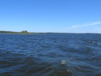 IMG_4342.JPG