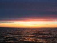 IMG_4414.JPG