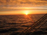 IMG_4416.JPG