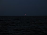 IMG_4892.JPG