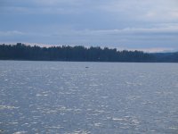 IMG_4915.JPG
