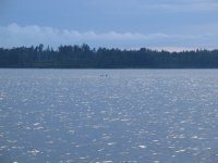 IMG_4916.JPG