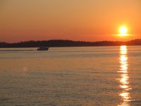 IMG_5114.JPG