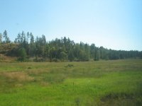 IMG_5850.JPG