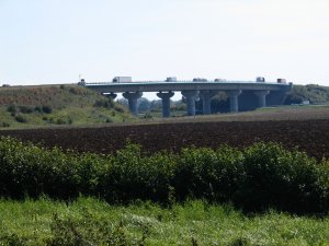 156.jpg